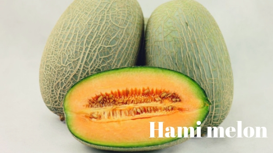Hami melon varieties