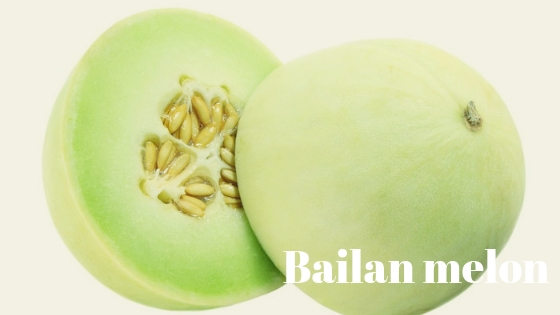 Bailan melon varieties