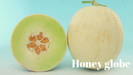 Honey globe varieties