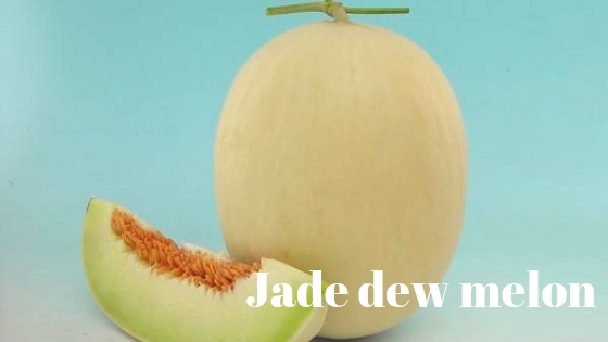 Jade dew melon varieties