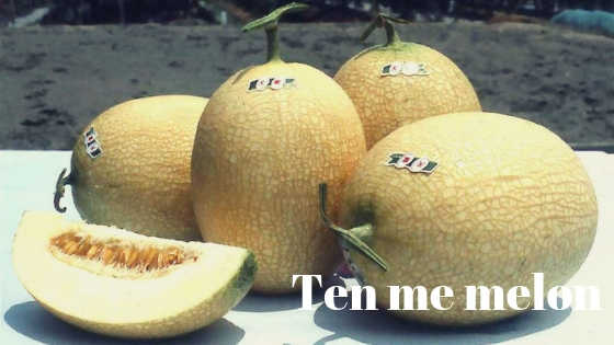 Ten me melon varieties