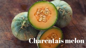 charentais melon cantaloupe natgeos varieties