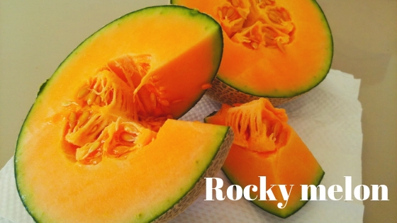 Rocky melon