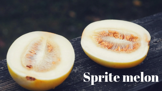 Sprite melon varieties