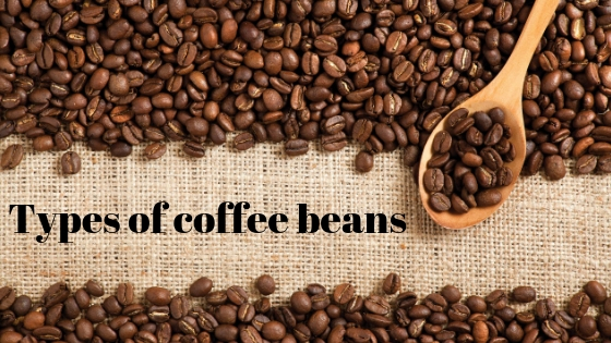 types of coffee beans