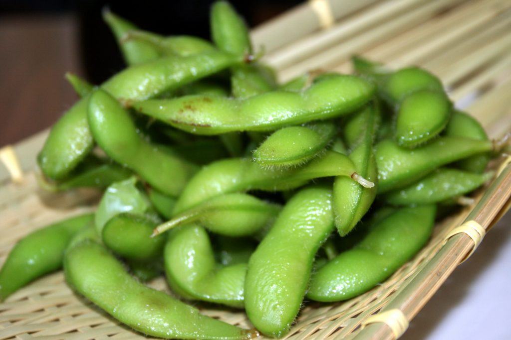 Growing Edamame; Soil, Planting and Care Natgeos