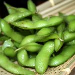 growing edamame (beans on branches)
