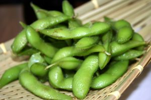 growing edamame (beans on branches)