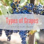 Types of Grapes
