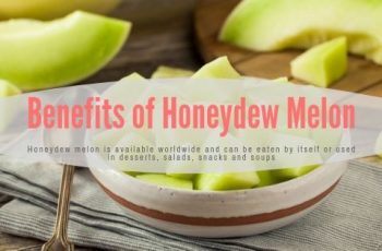 Benefits of Honeydew Melon