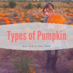 Types of Pumpkin