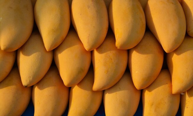 The Popular Types of Mangoes in The World img