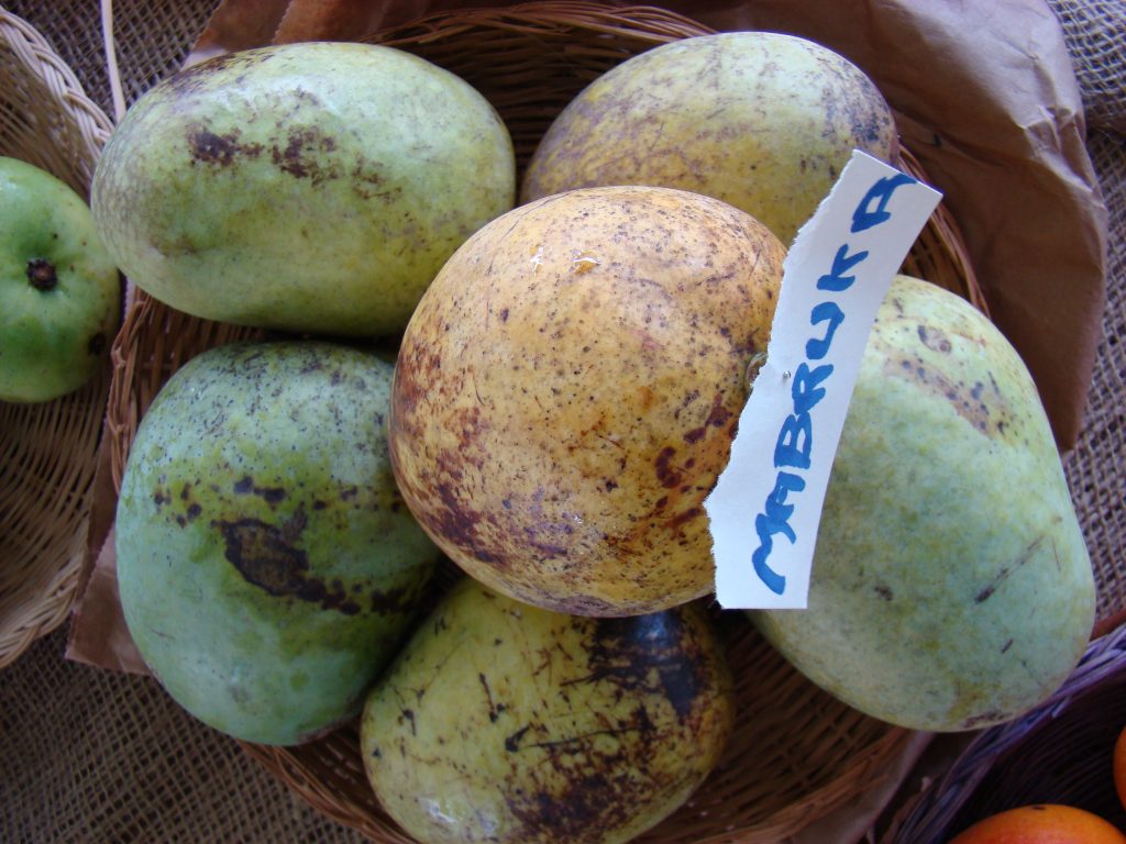 The Popular Types of Mangoes in The World - Natgeos