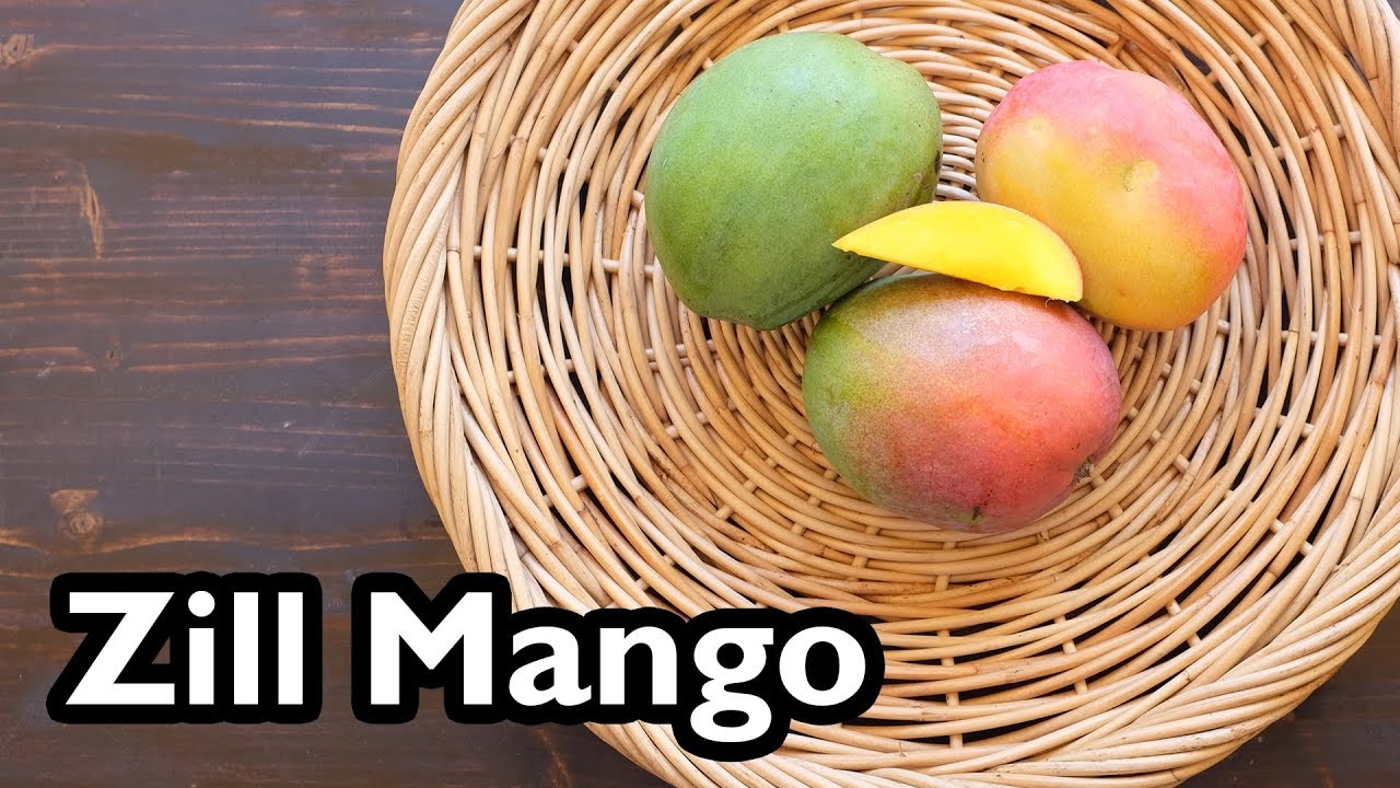 Zill mango