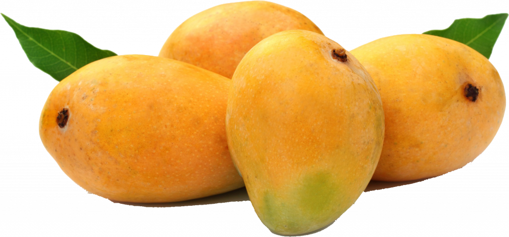 alphonso mango