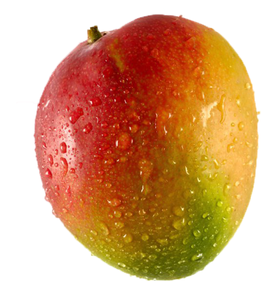 kent mango