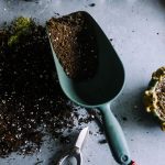 best growing media for plants