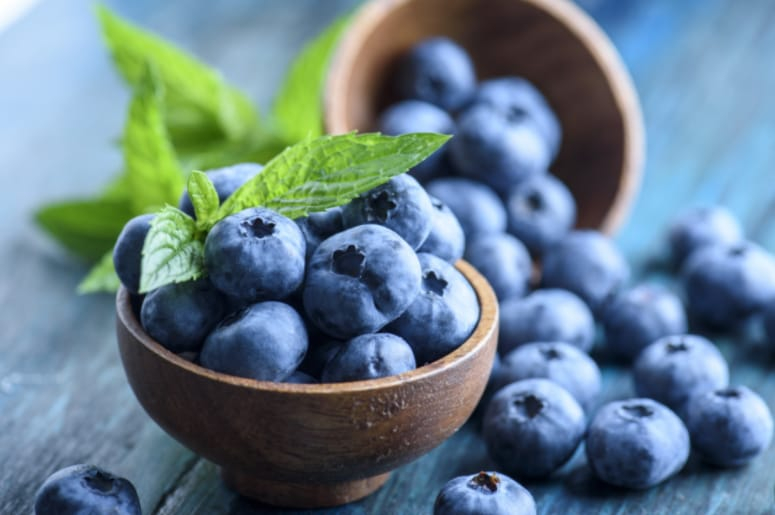 Blueberries Safe for Hermit Crabs