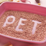 Type of Cat Litter Box