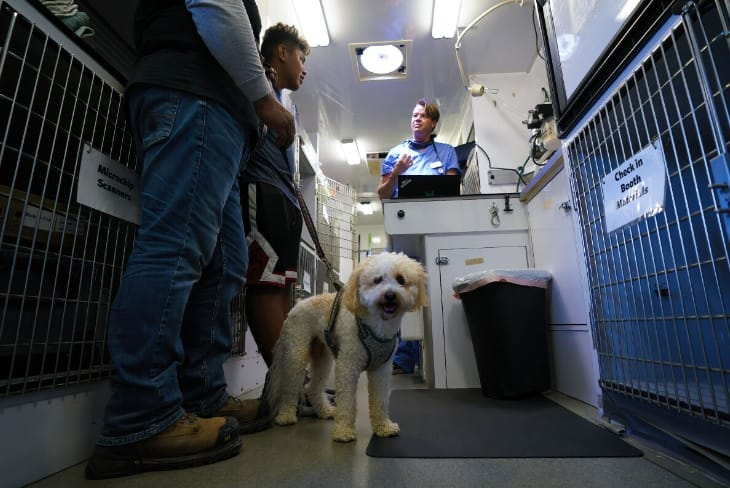 How Mobile Vet Services Can Help Your Pet