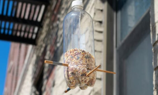 7 Creative and Unexpected Plastic Bottle Crafts img