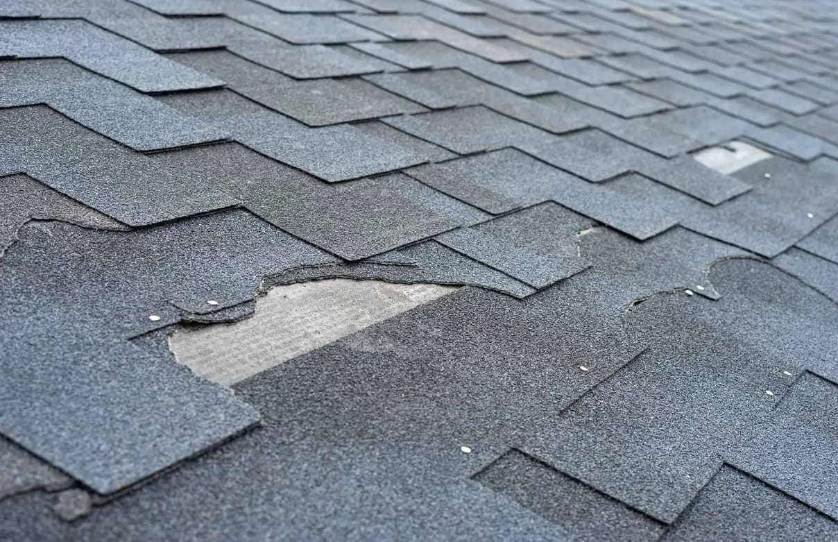 How Long a Roof Can Go without Shingles