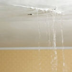 How Long Does a Landlord Have to Fix a Leaking Roof
