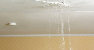How Long Does a Landlord Have to Fix a Leaking Roof