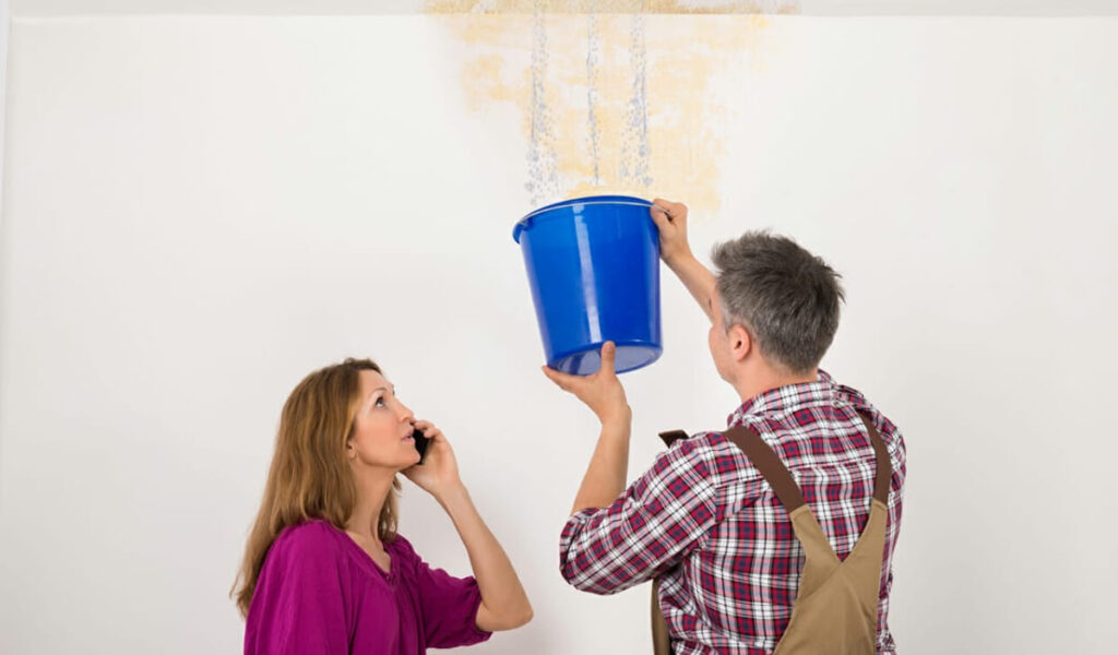 How Long Does a Landlord Have to Fix a Leaking Roof? Natgeos