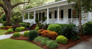 Modern Front Yard Landscaping Ideas