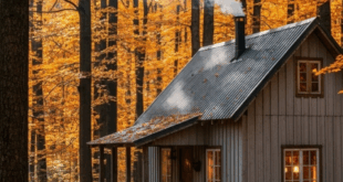20 Cozy Autumn Cabin Ideas
