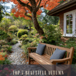 Top 7 Beautiful Autumn Trees 🍂 Perfect for Your Home Garden