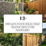 Privacy Fence Ideas That Transform Your Backyard