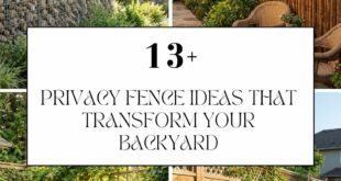 Privacy Fence Ideas That Transform Your Backyard